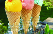 Make Your Own Ice Cream This Summer  By Amy Iori