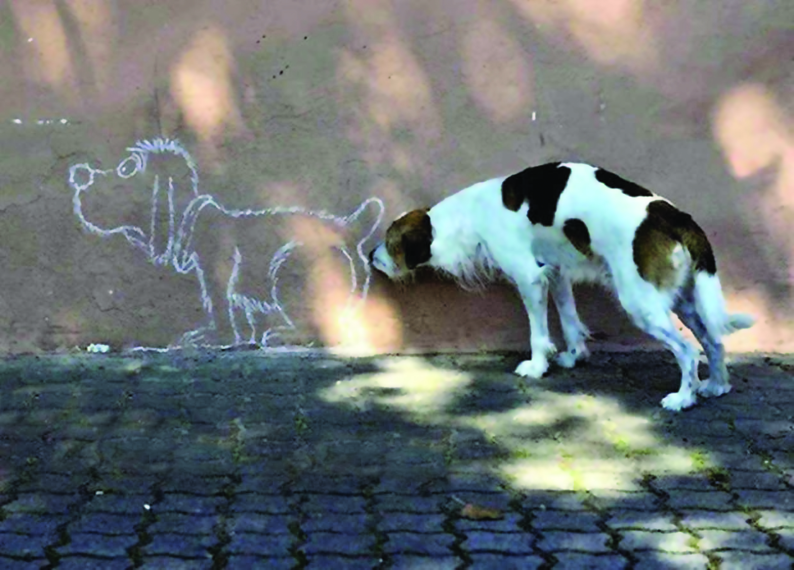 Decoding Strange & Interesting Dog Behaviors    By Dr. Scotty Gibbs