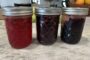 Jam On, Holly Springs:  A Quick and Easy Guide to Making Your Own Jam at Home