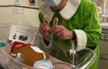 Holly Springs’ Own Buddy the Elf