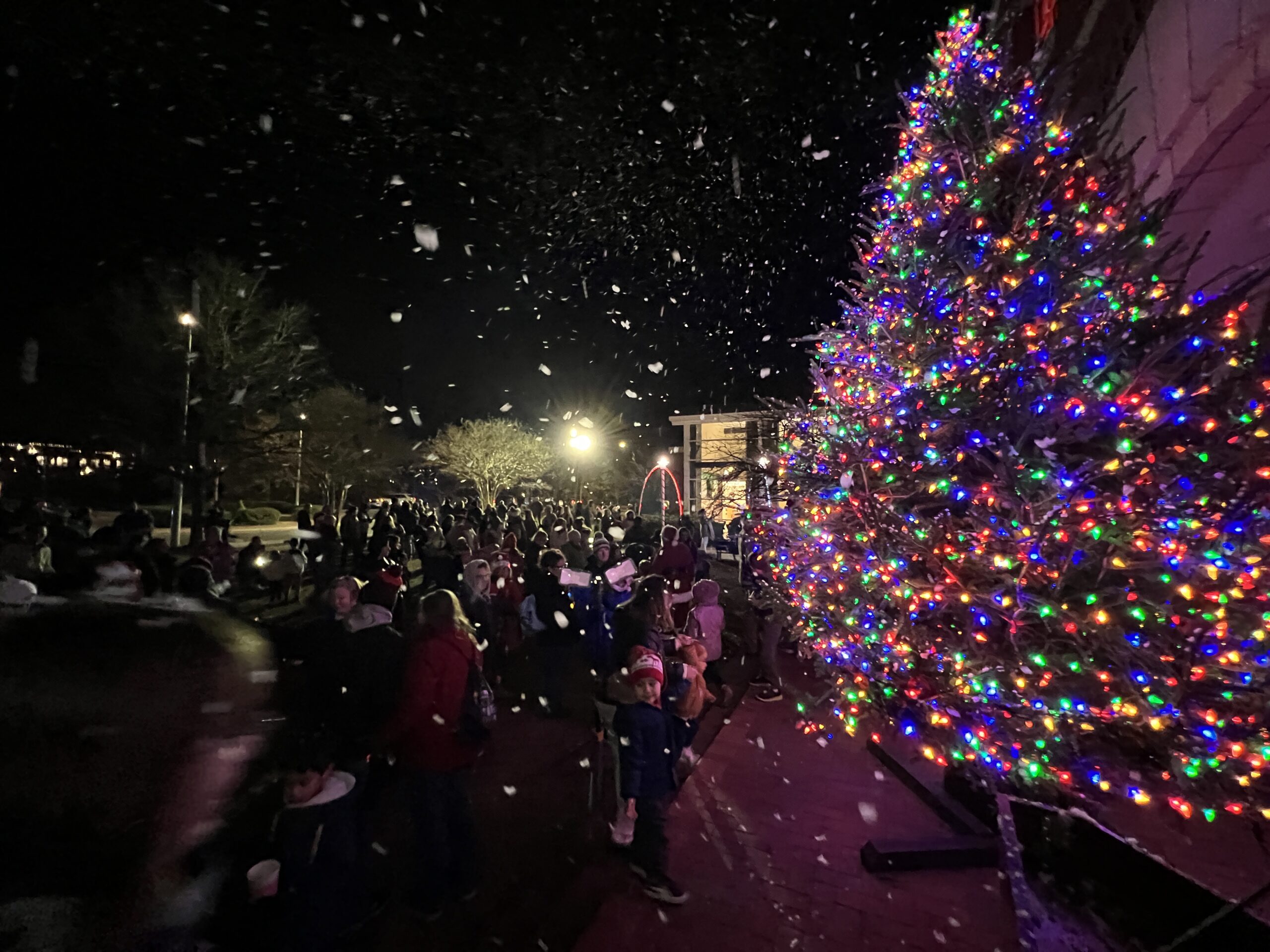 Twinkling Lights & Festive Sights: The Holidays Are Coming to Town