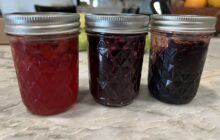 Jam On, Holly Springs:  A Quick and Easy Guide to Making Your Own Jam at Home