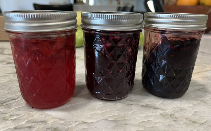 Jam On, Holly Springs:  A Quick and Easy Guide to Making Your Own Jam at Home