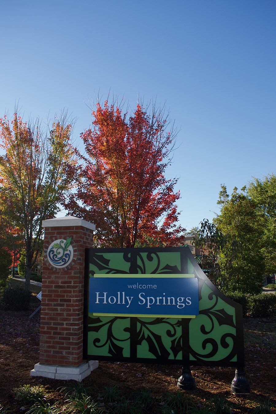 Thankful...For Holly Springs