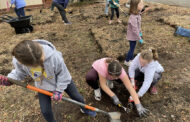 Transforming a Forgotten Garden into an Outdoor Classroom