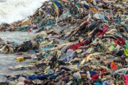 Fashion Forward for a Sustainable Future 