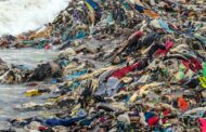 Fashion Forward for a Sustainable Future 