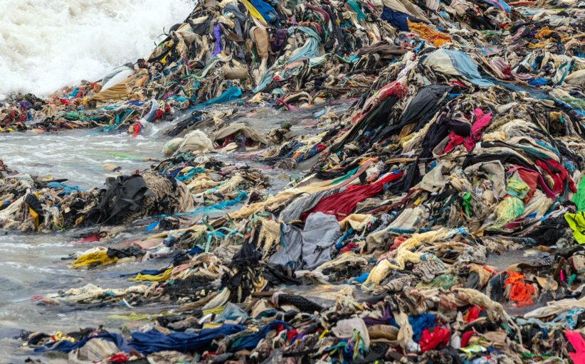 Fashion Forward for a Sustainable Future 