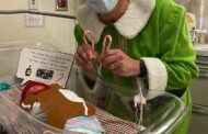 Holly Springs’ Own Buddy the Elf