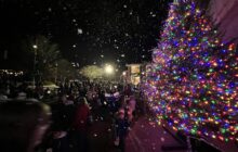 Twinkling Lights & Festive Sights: The Holidays Are Coming to Town