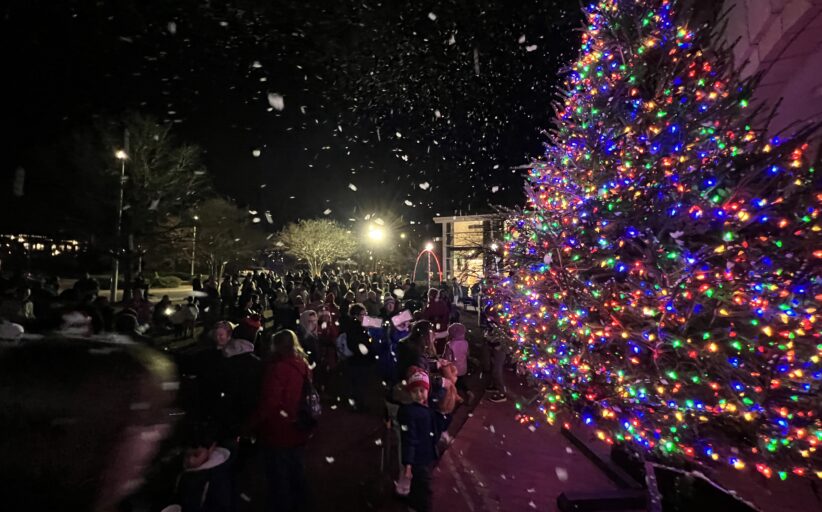 Twinkling Lights & Festive Sights: The Holidays Are Coming to Town