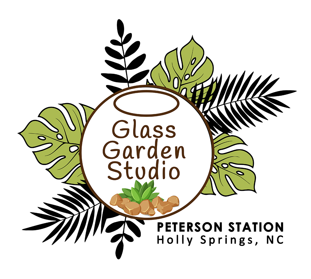 What's New and What's Coming to Holly Springs